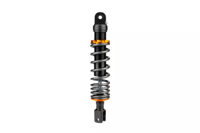 DÄMPARE STAGE6 SPORT PRO MINARELLI OCH PEUGOT 310MM