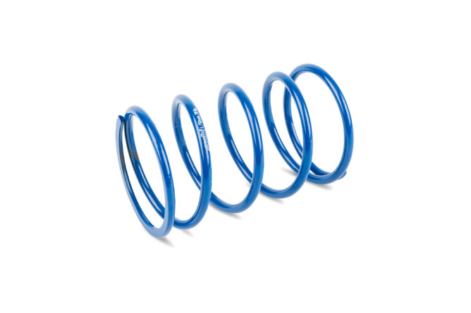 CVT Polini Hi Speed Evolution 2 14.8mm Piaggio