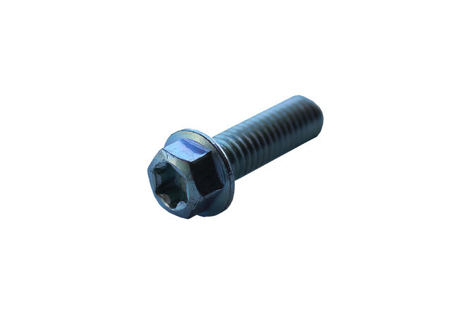 Skruv med sexkantshuvud Torx M6x20mm