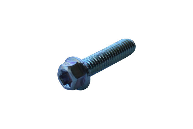 Skruv med sexkantshuvud Torx M6x25mm