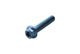 Screw hex head Torx M6x30mm