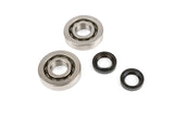 Crankshaft Bearings + Oil Seals Piaggio