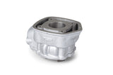 Cylinder Kit Top Performances Black Trophy 50cc Derbi Euro 2 (EBE / EBS)