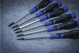 Precision Screwdriver Set BGS 6 pcs.