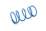 CVT Polini Hi Speed Evolution d=13mm Minarelli horizontal / China 2-stroke