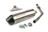 Exhaust Malossi RX Kawasaki J 300cc / Kymco Downtown 300cc