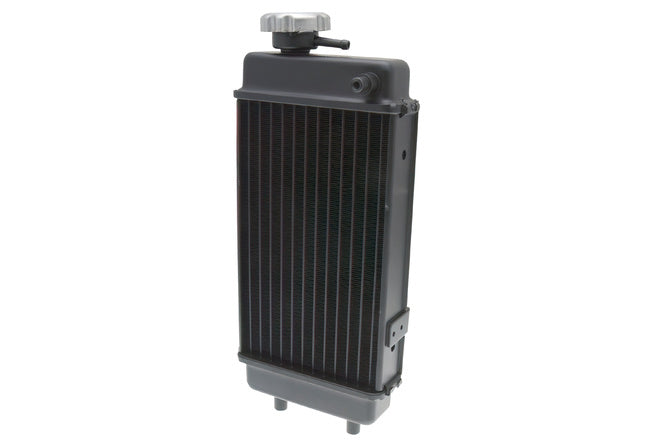 Radiator OEM Generic Trigger
