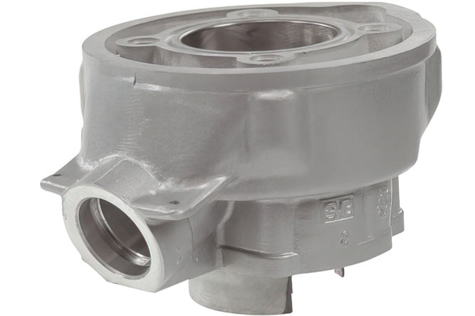 POLINI ALU RACE 79CC 2 PISTON RINGS MINARELLI AM6 - Mopedproffsen