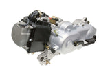 bt14177.jpg