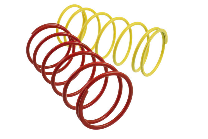 Momentfjäder Malossi Piaggio Zip serie 1 (1991-1994)