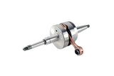 Vilebrequin Doppler S1R Peugeot Ludix