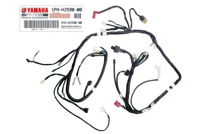 Kabelharnes Yamaha Aerox efter 2013 (1PHH259000)