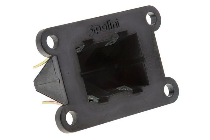 Reed Ventil Polini Evolution kolfiber Minarelli AM6
