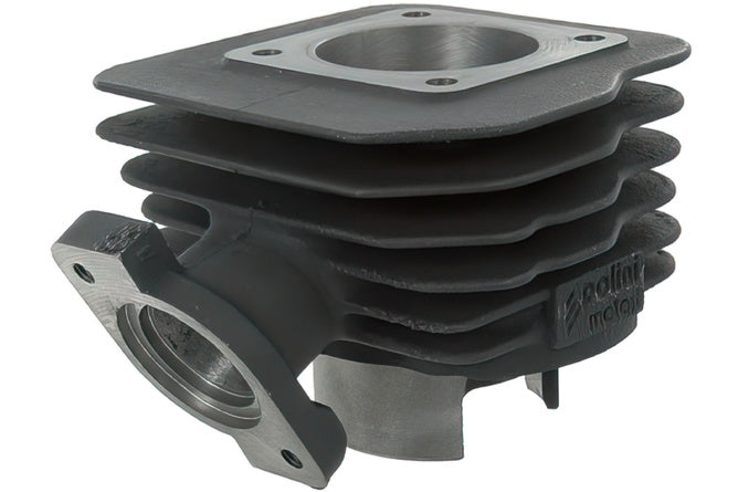 Cylinder Kit Polini Corsa 70cc gjutjärn Peugeot Speedfight / TKR