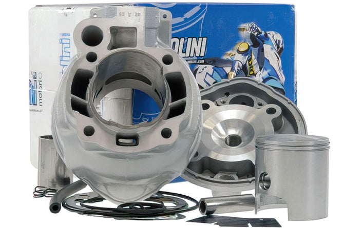 POLINI ALU RACE 79CC 2 PISTON RINGS MINARELLI AM6 - Mopedproffsen