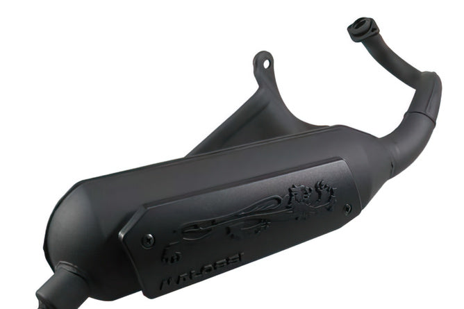 Avgas Malossi Wild Lion Piaggio Zip