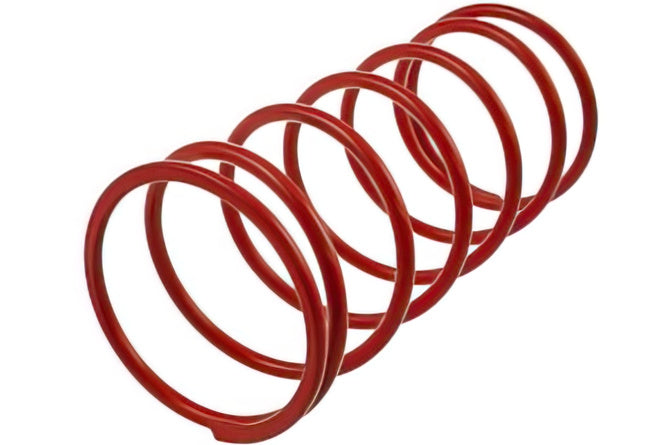 Momentfjäder Malossi Piaggio Zip serie 1 (1991-1994)