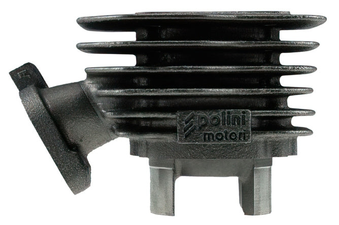 Cylinder Kit Polini 50cc gjutjärn Peugeot Speedfight / Trekker