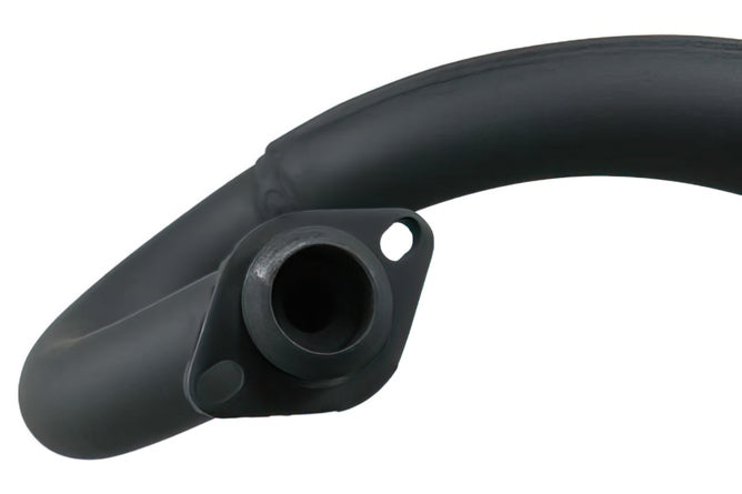 Avgas Malossi Wild Lion Piaggio Zip