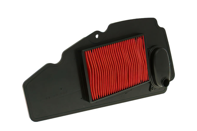 Luftfilter Skum Honda NSS 250 Forza X (2005-07)