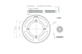 afam500353_02.jpg