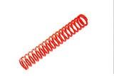 cgn501442_01.jpg