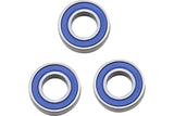 Wheel Bearing rear SX50