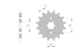 Front Sprocket Afam 14 teeth Beta RR LC