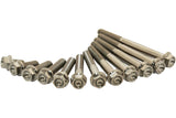 Titanium Bolts Scar M6X10 (x2)