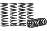 Clutch Spring Kit Hinson CRF 250