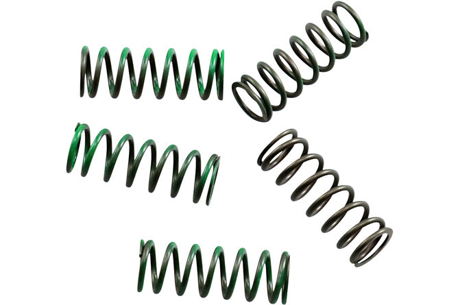 Kopplingsfjädrarsats Hinson KXF / RMZ