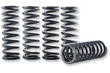 Clutch Spring Kit Hinson KXF 450