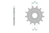 Front Sprocket Afam 13 teeth TC 250
