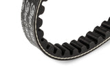 Drive Belt Stage6 Pro Belt Piaggio short old