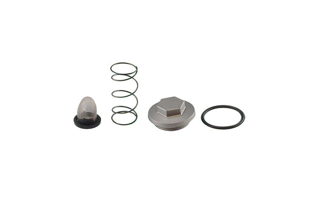 Oljefilter / Plugg / Fjäder / Packning M36x1.50 GY6