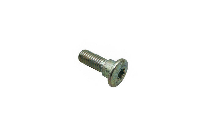 Skruv bromsskiva M8x1.25 - L.24mm original Derbi / Gilera / Aprilia