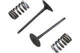 Intake Valve Set Prox w/ springs RM-Z 250 after 2010