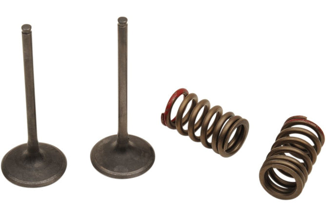 Insugningsventilsats Prox med fjädrar KXF / RM-Z 250 2004-2006