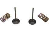 Intake Valve Set Prox w/ springs KXF 250 2009-2010