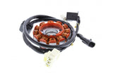 Ignition Stator Plate Vespa LX i.e. / S i.e. 125cc