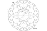 Brake Disc Polini D.300/100mm Piaggio Beverly 300 / 350
