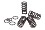 Clutch Springs Polini reinforced Minarelli AM6