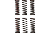 Clutch Springs Pro Circuit CRF 450 after 2021