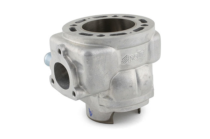 Cylinderkit Polini Evolution 94cc 44mm slag Yamaha Aerox
