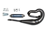 Exhaust Malossi Too Bad Piaggio Si