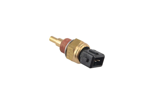 Temperatursensor M14x1.25 Rieju MRT