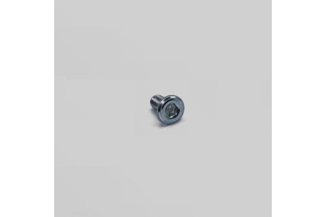 Skruv bromsskiva M8 x 14mm Pit Bike / Dirt Bike