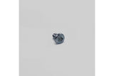 Screw brake disc M8 x 14mm Pit Bike / Dirt Bike