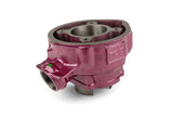 Cylinder Kit Top Performances Due Plus 70cc cast iron AM6