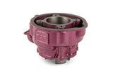 Cylinder Kit Top Performances Due Plus 70cc cast iron AM6